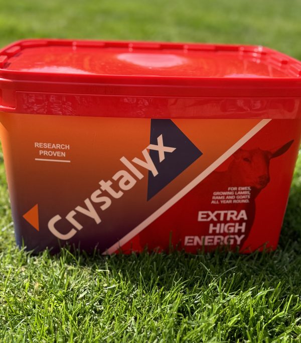 Crystalyx Extra High Energy - Image 3